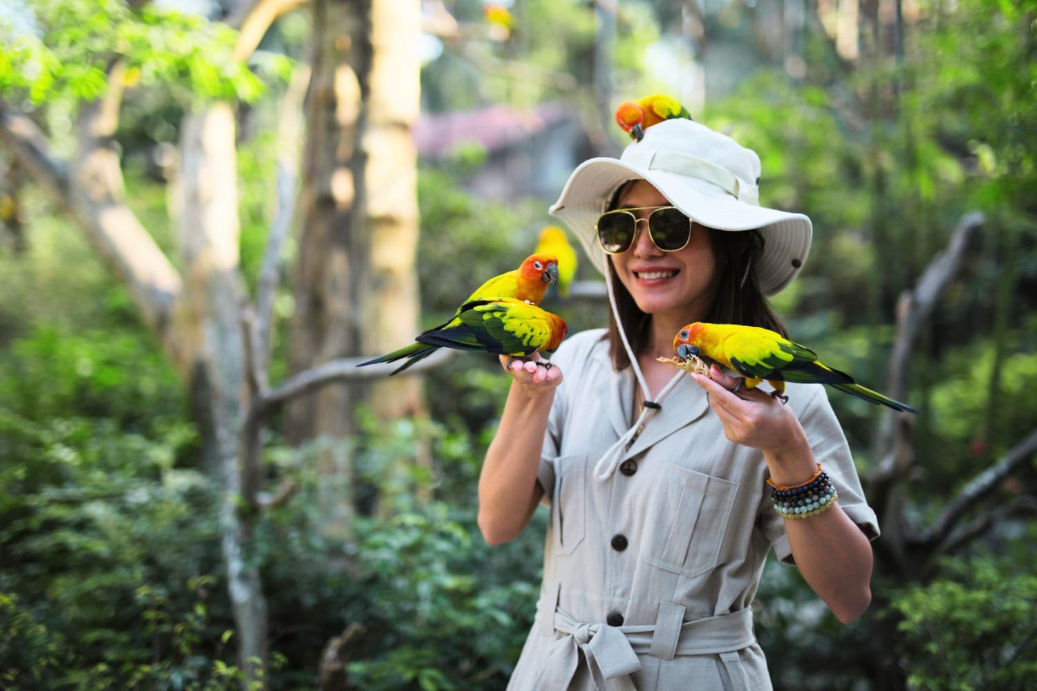 คำถามที่คุณอยากรู้ก่อนตัดสินใจเลือกซื้อแพ็กเกจทัวร์หรือบัตรเข้าสถานที่ท่องเที่ยวทั่วไทย