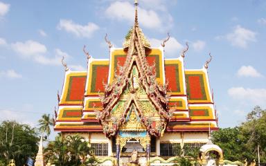 35% Off Book Jungle Discovery Tour (Full Day Tour), special price