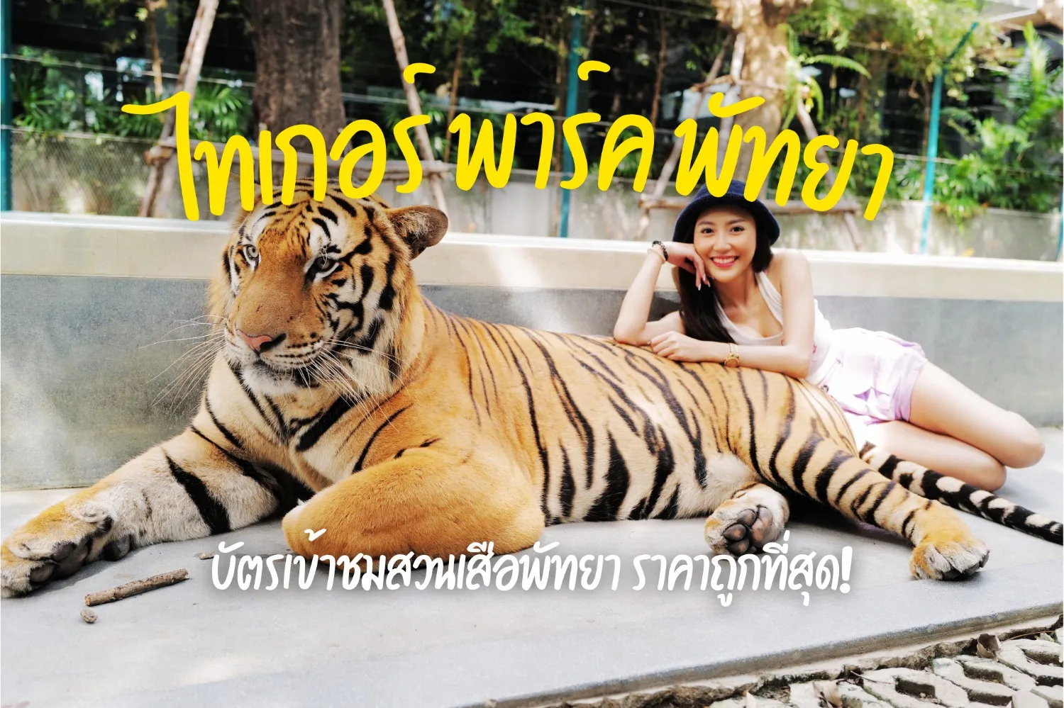 ลดสูงสุด 15% จองบัตรเข้าชม ไทเกอร์ พาร์ค พัทยา