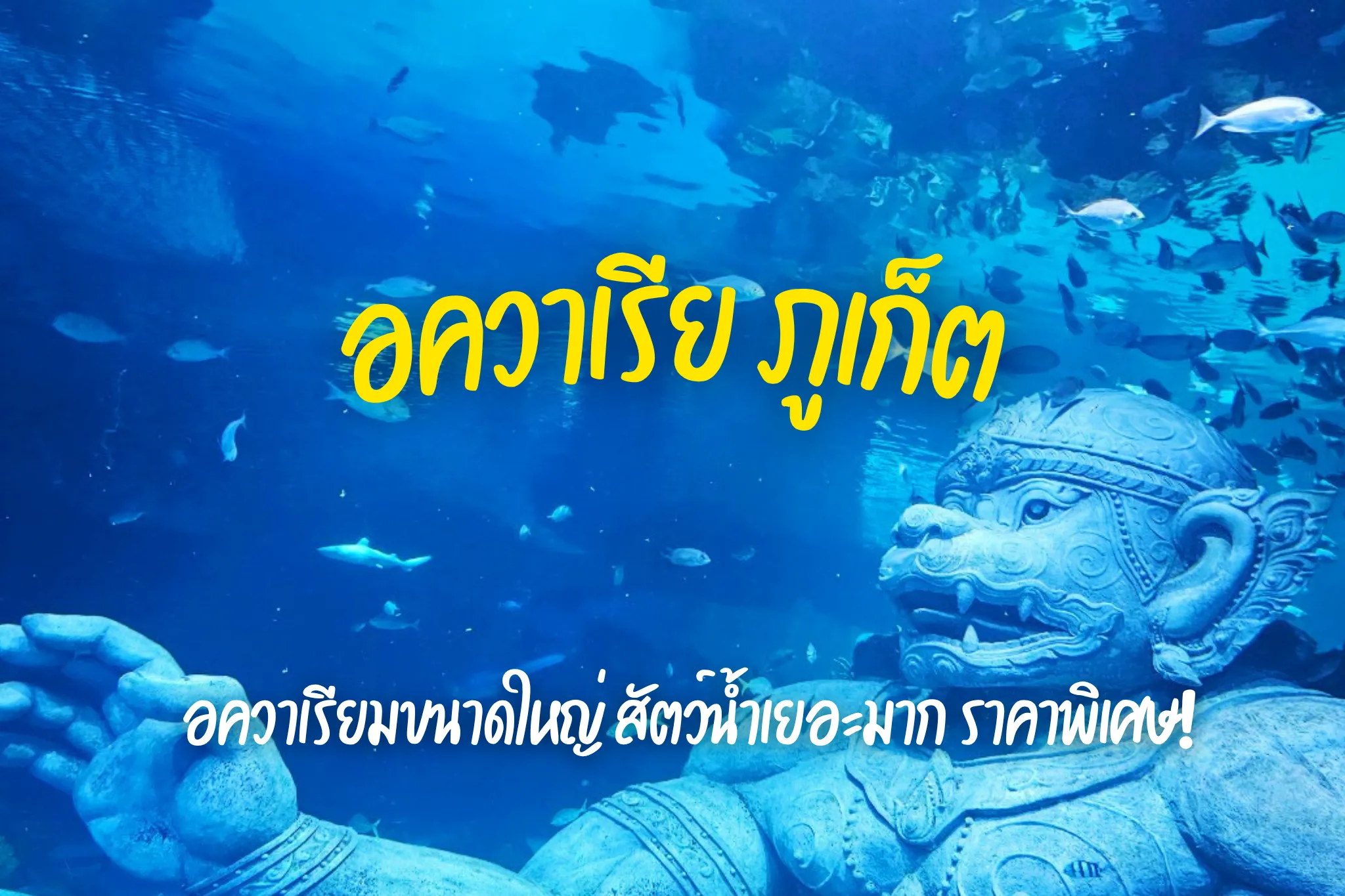 ลดสูงสุด 20% จองบัตรเข้าชม อควาเรีย ภูเก็ต ราคาพิเศษ